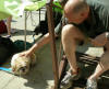 John playing with a small visitor under the table!